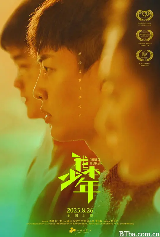我本少年-720p|1080p高清bt种子下载