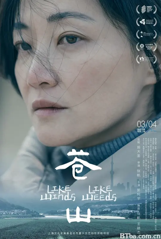 苍山 (2025) 1080P/WEB-DL BT磁力 迅雷网盘下载