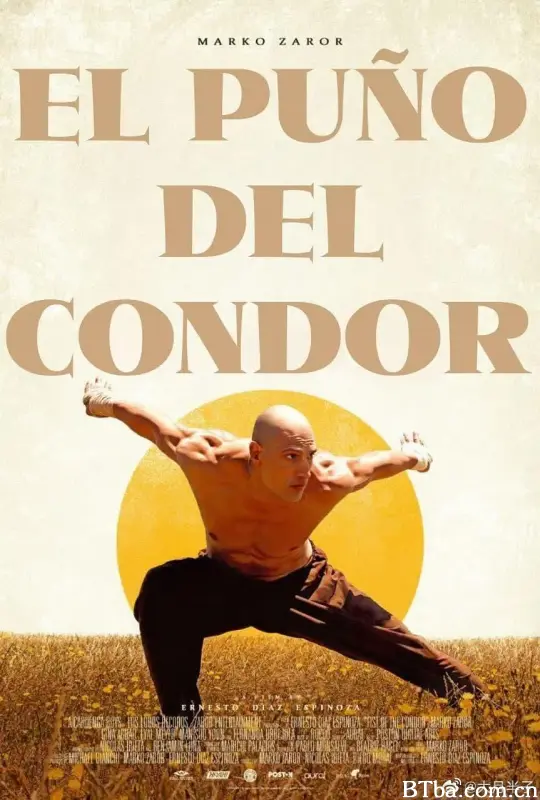雕形拳/El Puño del Cóndor