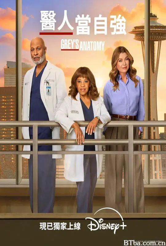 实习医生格蕾 第二十二季/医人当自强(港)/Grey's Anatomy Season 22