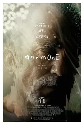 银莲花/Anemone