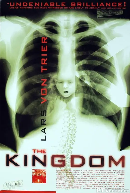 医院风云 The Kingdom (1994) 1080P 高清免费观看 BT磁力 迅雷网盘下载