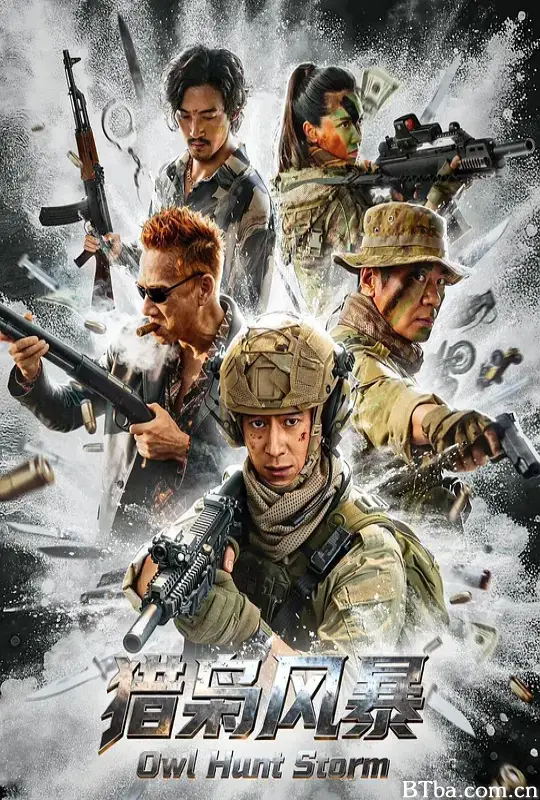 猎枭风暴 Owl Hunt Storm (2026) 1080P/4K BT磁力 迅雷网盘下载