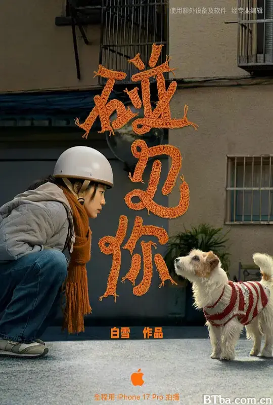 碰见你 Glad I Met You (2026) 1080P/4K BT磁力 迅雷网盘下载