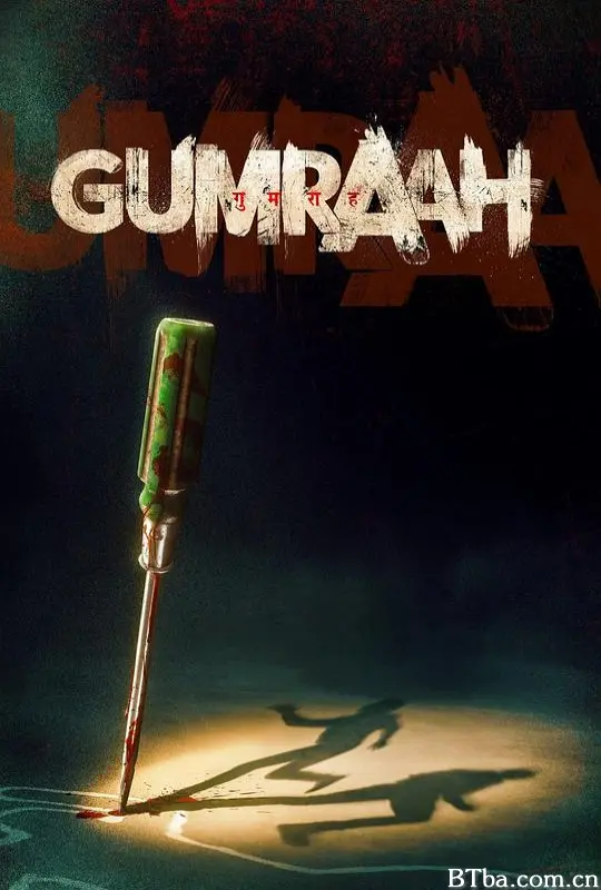 双面线索 गुमराह(印度) (2023) 1080P/WEB-DL BT磁力 迅雷网盘下载