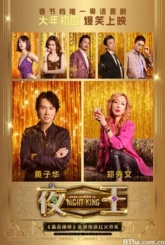 夜王 Night King (2026)  BT磁力 迅雷网盘下载