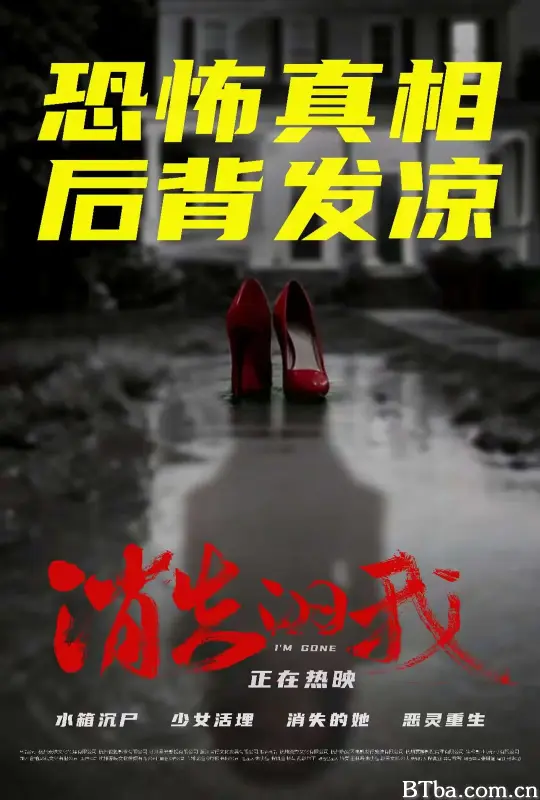 消失的我 I Am Gone (2026) 1080P/4K BT磁力 迅雷网盘下载