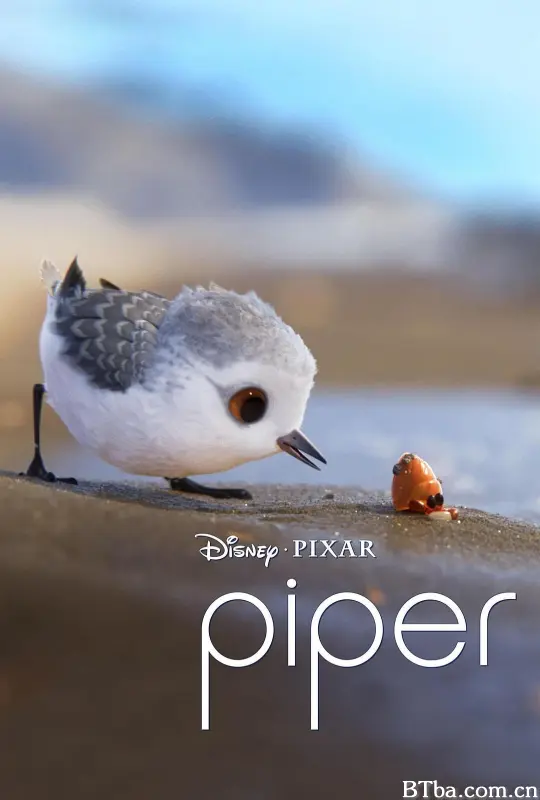 鹬 小鹬初登场(台) 派珀历险记 鸟瞰世界 鹞 Yù Piper (2016) 1080P/720P BT磁力 迅雷网盘下载