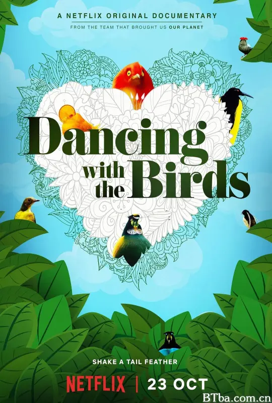 与鸟共舞 与雀共舞(港) Dancing with the Birds (2019) 1080P/4K BT磁力 迅雷网盘下载-影音屋