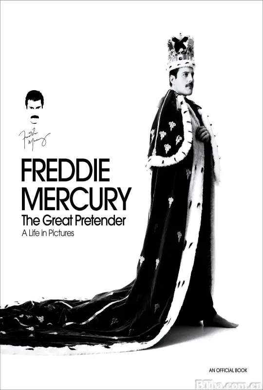 弗莱迪·默克里：伟大的伪装者 Freddie Mercury: The Great Pretender (2012) 1080P BT磁力 迅雷网盘下载-影音屋
