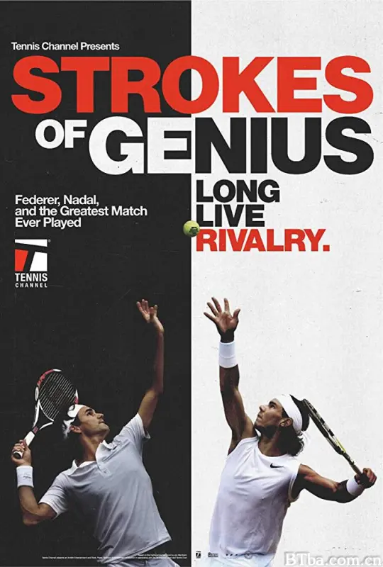 天才之击 Strokes of Genius (2018) 1080P/WEB-DL BT磁力 迅雷网盘下载-影音屋