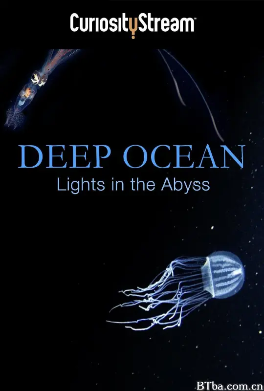 深海：深渊之光/[ディープ オーシャン] 潜入！深海大峡谷 光る生物たちの王国/Deep Ocean: Lights in the Abyss
