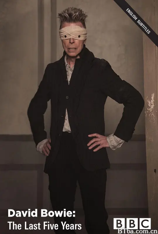 大卫·鲍伊：最后五年 David Bowie: The Last Five Years (2017) 1080P BT磁力 迅雷网盘下载-影音屋