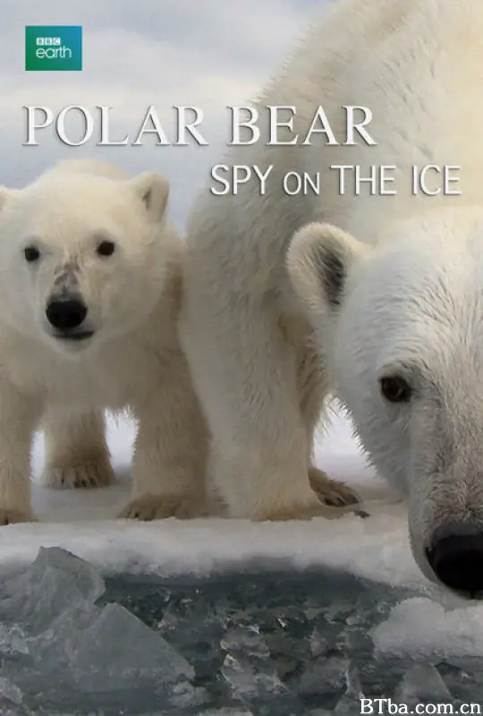 北极熊：冰上侦探 北极熊：冰上间谍(台) 探秘北极熊 谍影熊心 Polar Bears: Spy on the Ice (2010) 720P BT磁力 迅雷网盘下载-影音屋