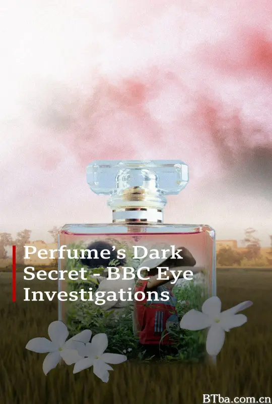 香水的黑暗秘密 香水の暗い秘密 Perfume’s Dark Secret (2024) 1080P/WEB-DL BT磁力 迅雷网盘下载-影音屋