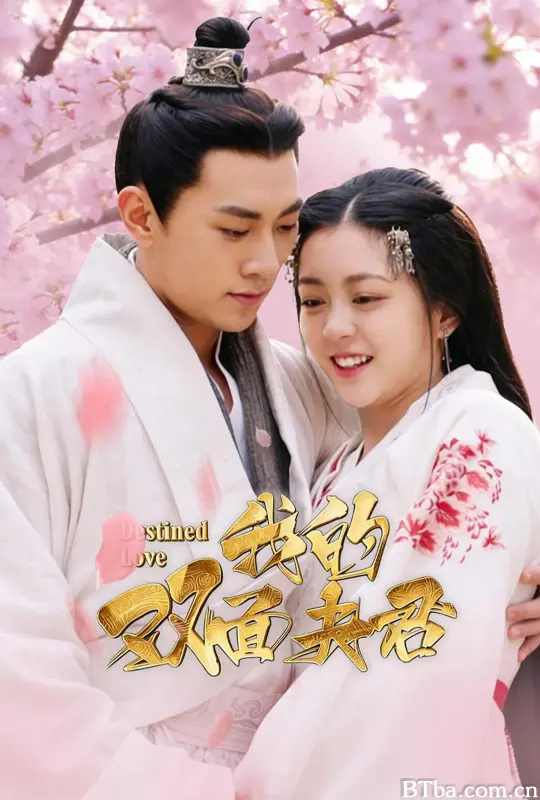 我的双面夫君 我和前夫他哥HE了 (2026) 1080P/4K BT磁力 迅雷网盘下载-影音屋