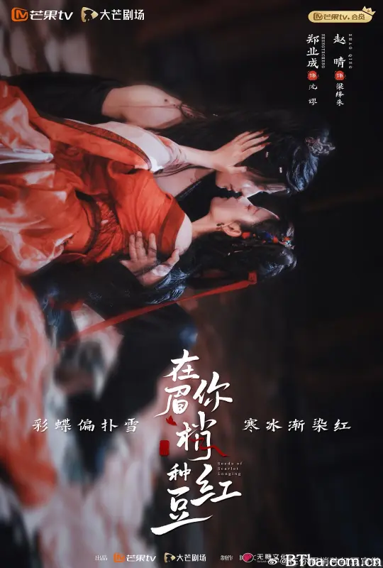 在你眉梢种红豆 (2026) 1080P/WEB-DL BT磁力 迅雷网盘下载