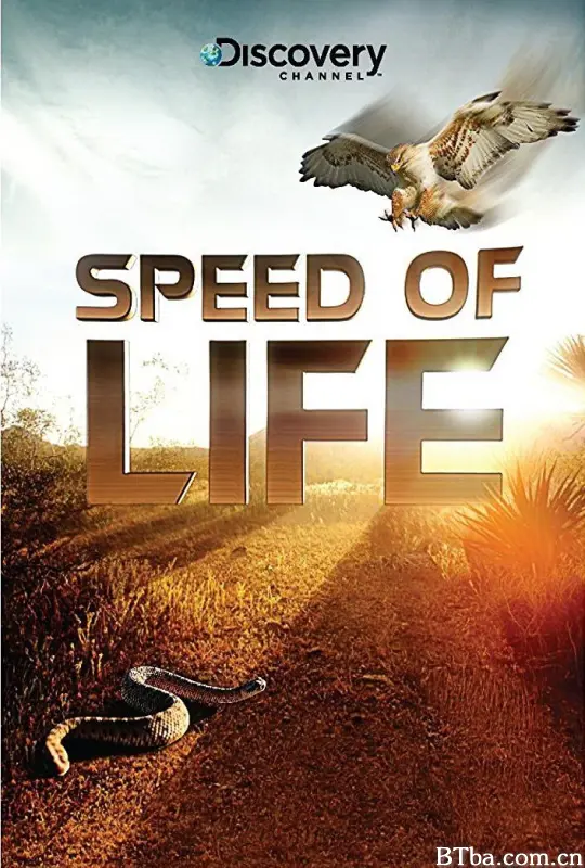 探索频道：生命的速度 探索频道生物快慢间 Discovery Channel ：Speed of Life (2010) 1080P BT磁力 迅雷网盘下载-影音屋