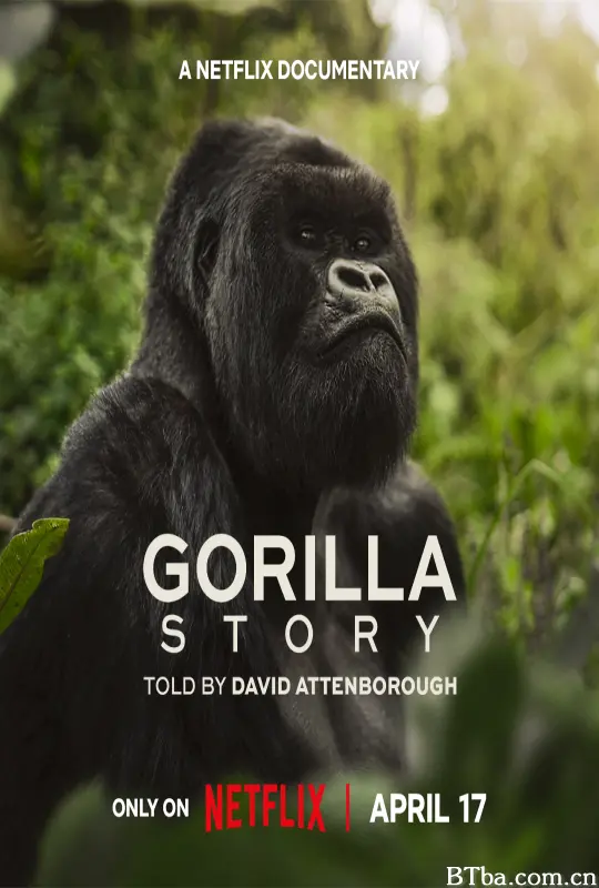 大卫·艾登堡：大猩猩的故事 A Gorilla Story: Told by David Attenborough (2026) 1080P/4K BT磁力 迅雷网盘下载-影音屋