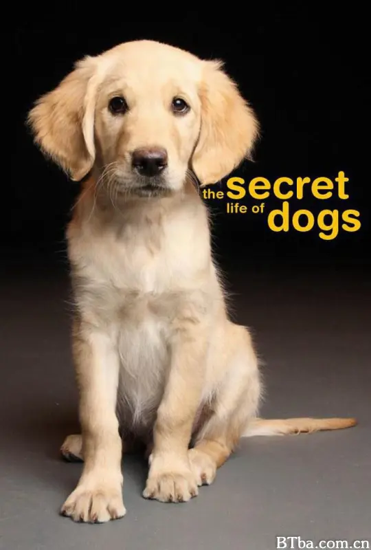 狗的秘密生活/狗狗密语(港)/萌犬秘闻/狗的秘闻/Secret Life of Dogs