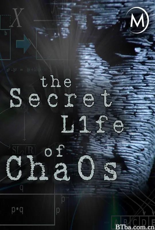 神秘的混沌理论 BBC 神秘的混沌理论 The Secret Life of Chaos (2010) 1080P BT磁力 迅雷网盘下载-影音屋