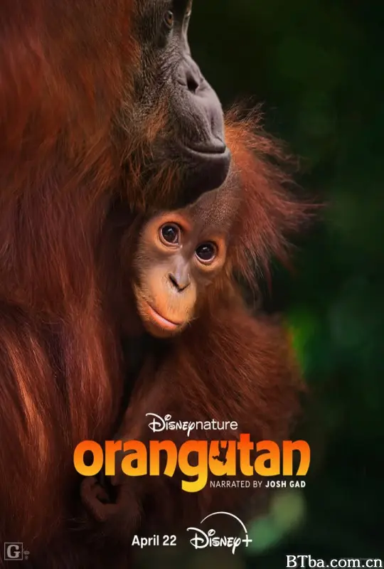 红毛猩猩 红猩猩 Orangutan (2026) 1080P/4K BT磁力 迅雷网盘下载-影音屋