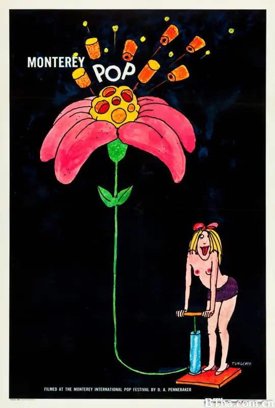 蒙特雷流行音乐节 蒙特利流行音乐节 Monterey Pop (1968) 1080P BT磁力 迅雷网盘下载