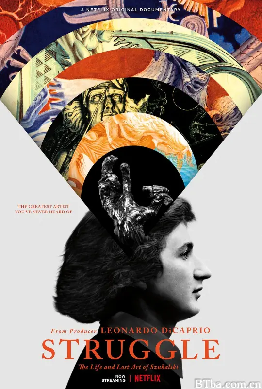 挣扎：生命与失落的艺术 永恒斗争：斯坦尼斯洛·苏卡尔斯基 Struggle: The Life and Lost Art of Szukalski (2018) 1080P BT磁力 迅雷网盘下载-影音屋