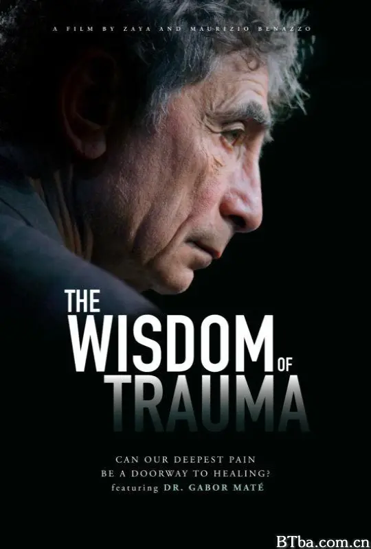 创伤的智慧/創傷的智慧/The Wisdom of Trauma
