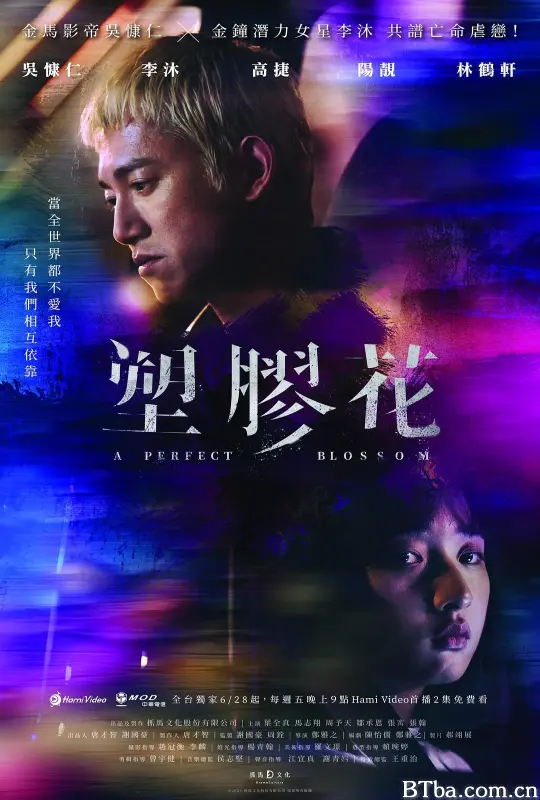 塑胶花/A Perfect Blossom/塑膠花-720p|1080p高清bt种子下载