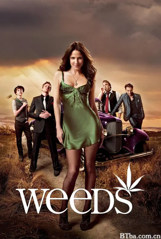单身毒妈 第六季 Weeds Season 6 (2010) 1080P/720P BT磁力 迅雷网盘下载
