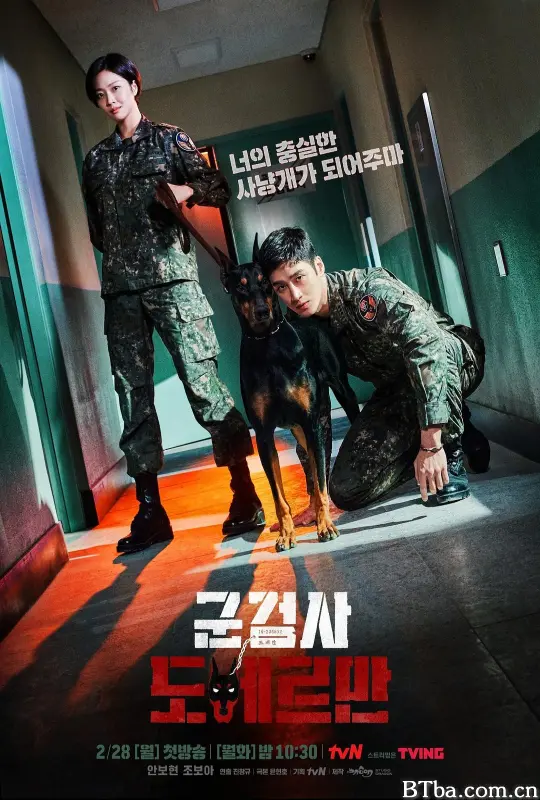 军检察官多伯曼犬 군검사 도베르만 (2022) 1080P/4K BT磁力 迅雷网盘下载