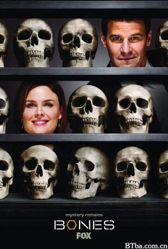 识骨寻踪  第四季/Bones Season 4