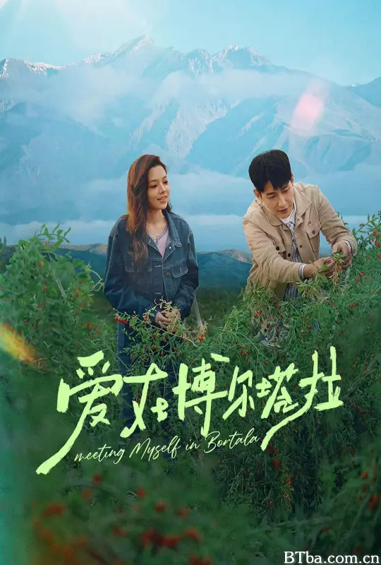 爱在博尔塔拉
