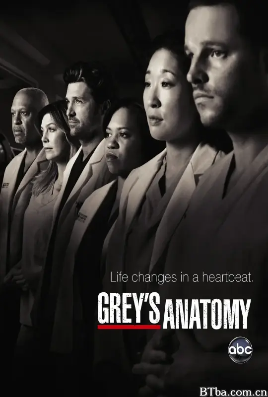 实习医生格蕾  第七季 Grey's Anatomy Season 7 (2010) 1080P/WEB-DL BT磁力 迅雷网盘下载