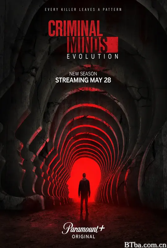 犯罪心理：演变 第十九季/Criminal Minds: Evolution Season 19