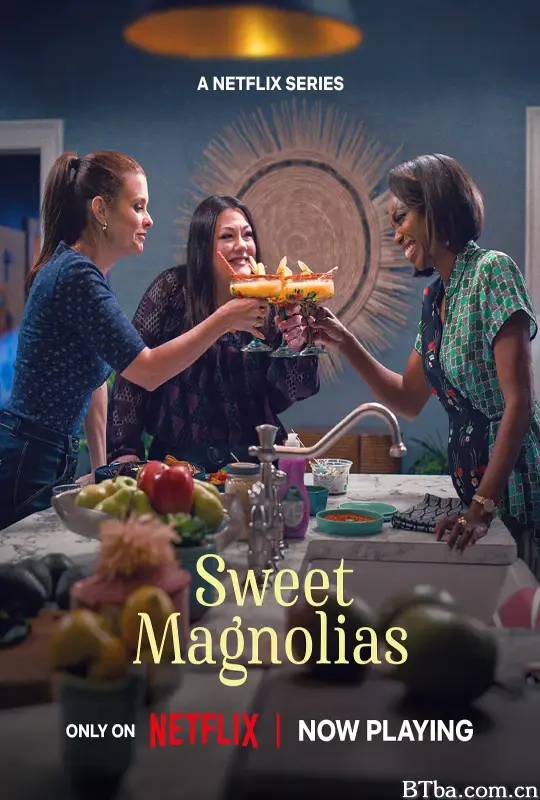 甜木兰 第四季 Sweet Magnolias Season 4 (2025) 4K/WEB-DL BT磁力 迅雷网盘下载