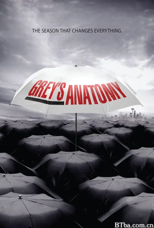 实习医生格蕾  第六季/Grey's Anatomy Season 6