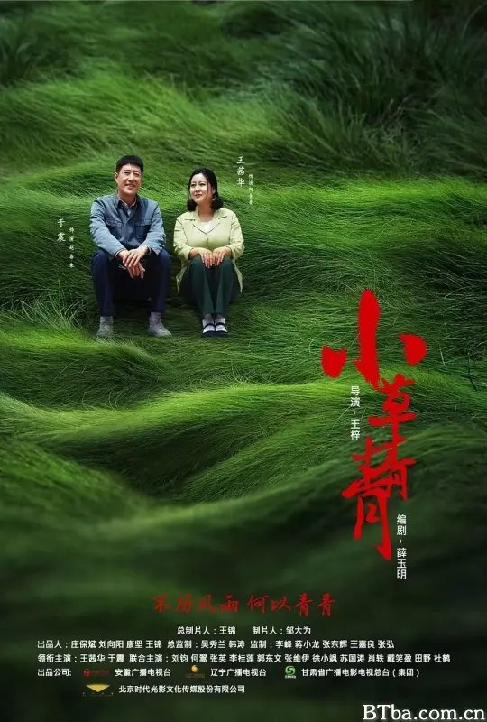 小草青青 (2016) 1080P/WEB-DL BT磁力 迅雷网盘下载