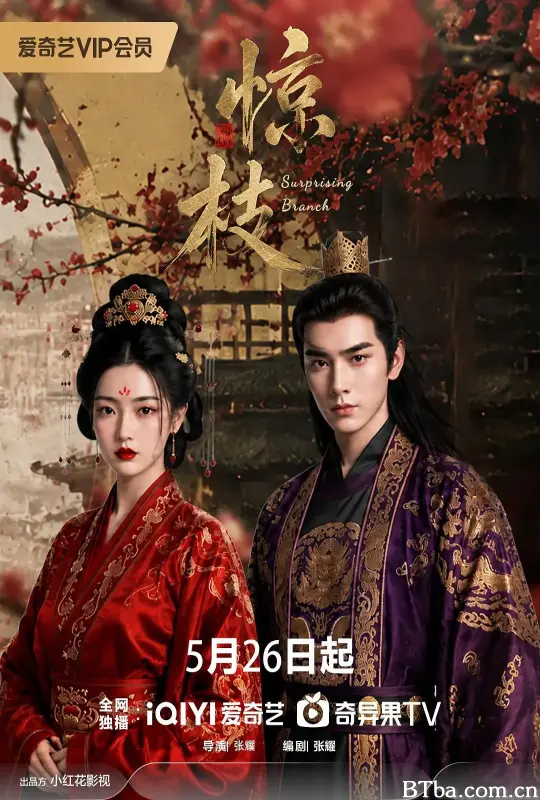 惊枝 (2026) 1080P/WEB-DL BT磁力 迅雷网盘下载
