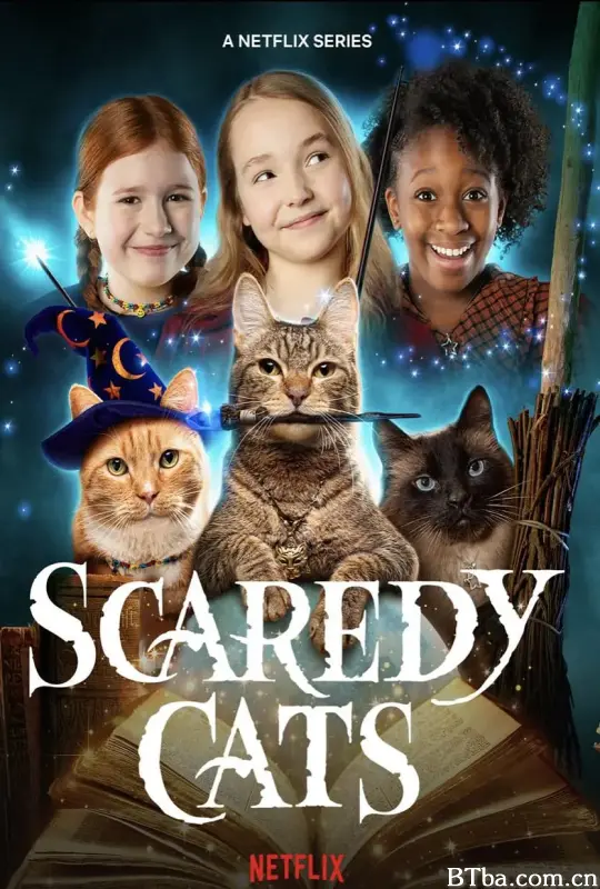 胆小猫 第一季 第一季/Scaredy Cats Season 1
