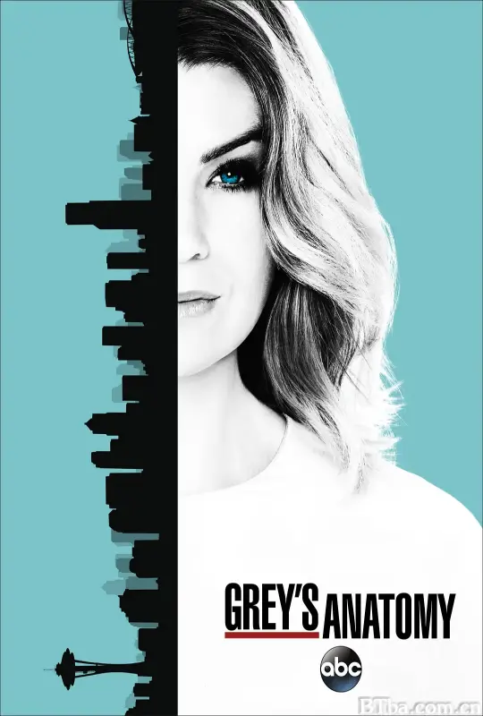 实习医生格蕾 第十三季 Grey's Anatomy Season 13 (2016) 1080P/WEB-DL BT磁力 迅雷网盘下载