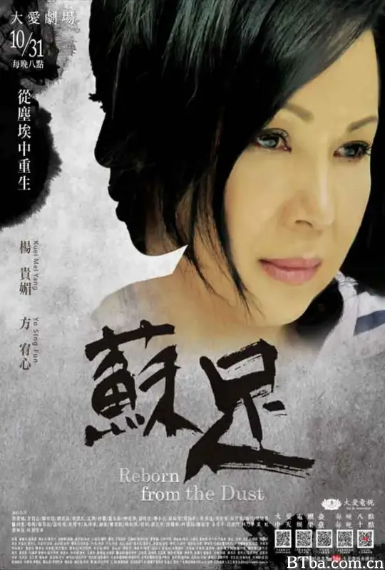 苏足 (2016) 1080P/WEB-DL BT磁力 迅雷网盘下载