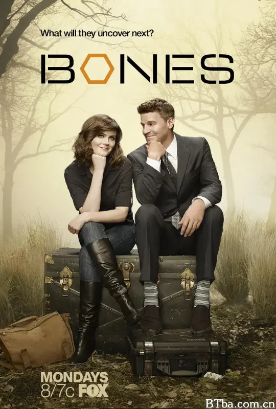 识骨寻踪 第八季 Bones Season 8 (2012) 1080P/720P BT磁力 迅雷网盘下载