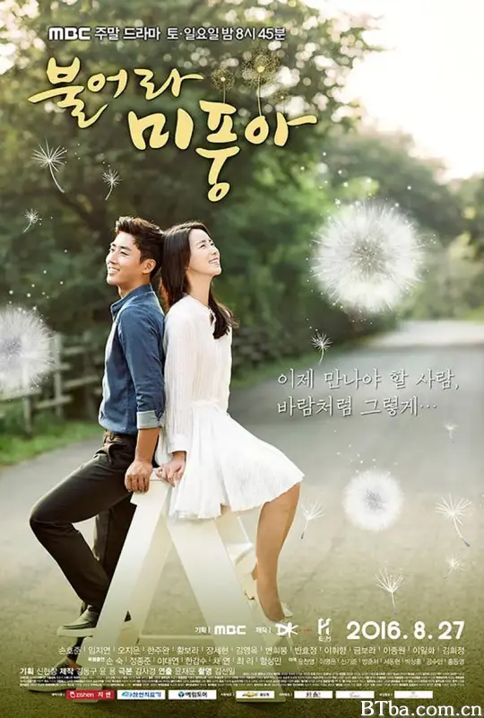 吹吧，微风啊 불어라 미풍아 (2016) 1080P/WEB-DL BT磁力 迅雷网盘下载