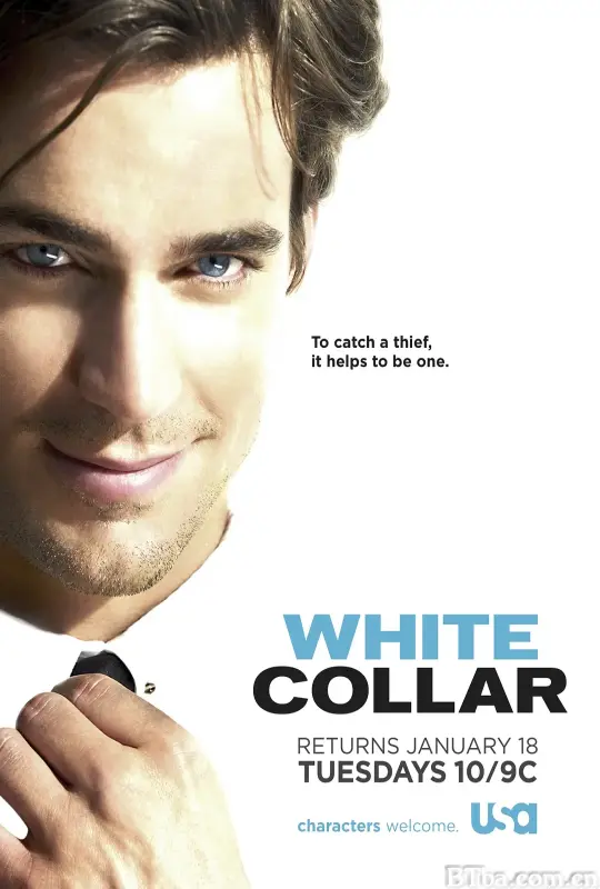 妙警贼探  第二季 White Collar Season 2 (2010) 1080P/WEB-DL BT磁力 迅雷网盘下载