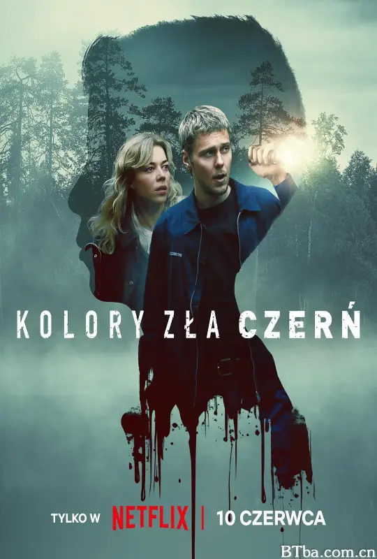 极恶原色：黑暗谜镇 Kolory zła: Czerń (2026) 1080P/4K BT磁力 迅雷网盘下载