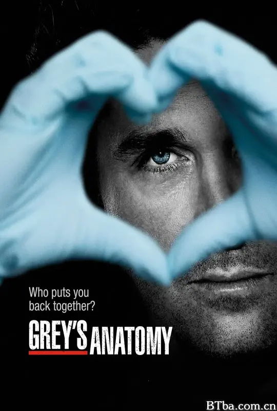实习医生格蕾 第九季 Grey's Anatomy Season 9 (2012) 1080P/WEB-DL BT磁力 迅雷网盘下载