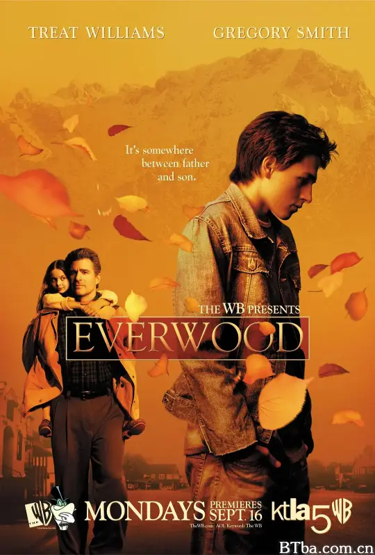 雪山镇 第一季 Everwood Season 1 (2002) 1080P/WEB-DL BT磁力 迅雷网盘下载