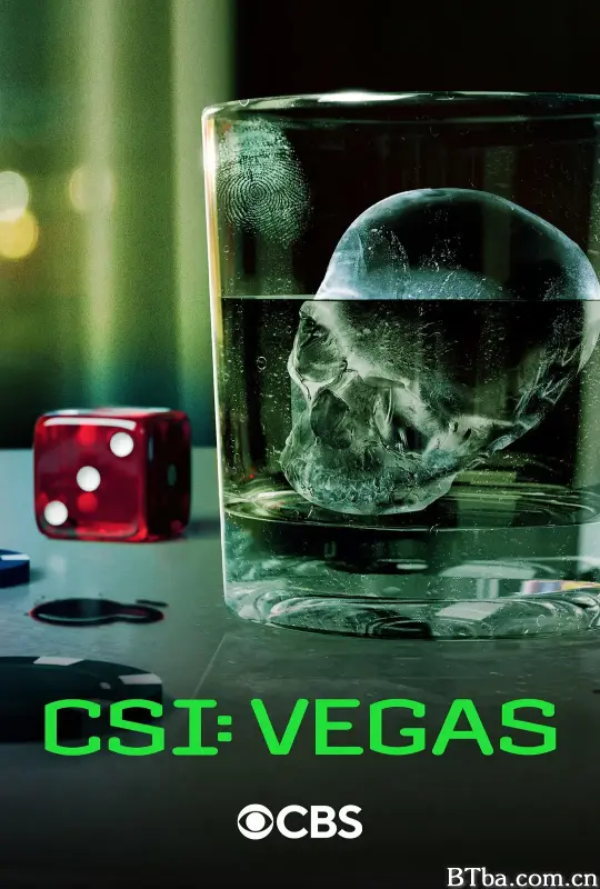 犯罪现场调查：维加斯 第三季 CSI: Vegas Season 3 (2024) 1080P/4K BT磁力 迅雷网盘下载